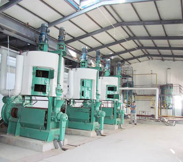 peanut oil processing plant