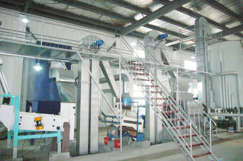 OilSeed Treatment | OilSeeds Treatment Equipment