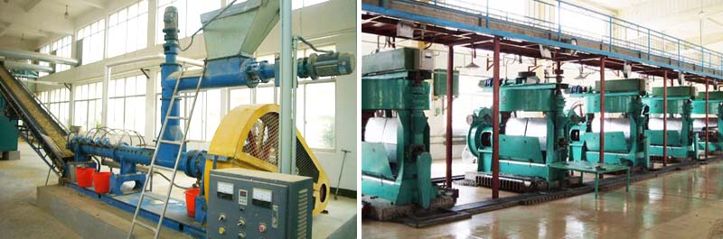 OilSeeds Treatment Equipment