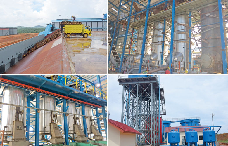 Palm oil processing plant