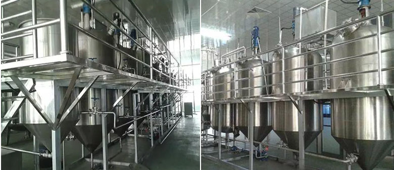 Palm oil refining project