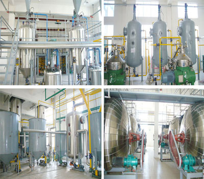 Edible oil refining plant