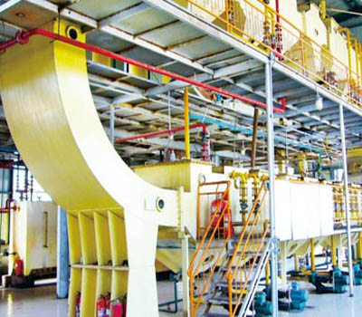 Which solvents are there in the edible oil solvent extraction plant?