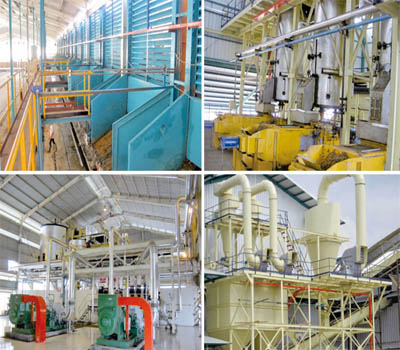 palm oil refining plant